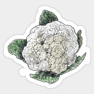 cauliflower sticker Sticker